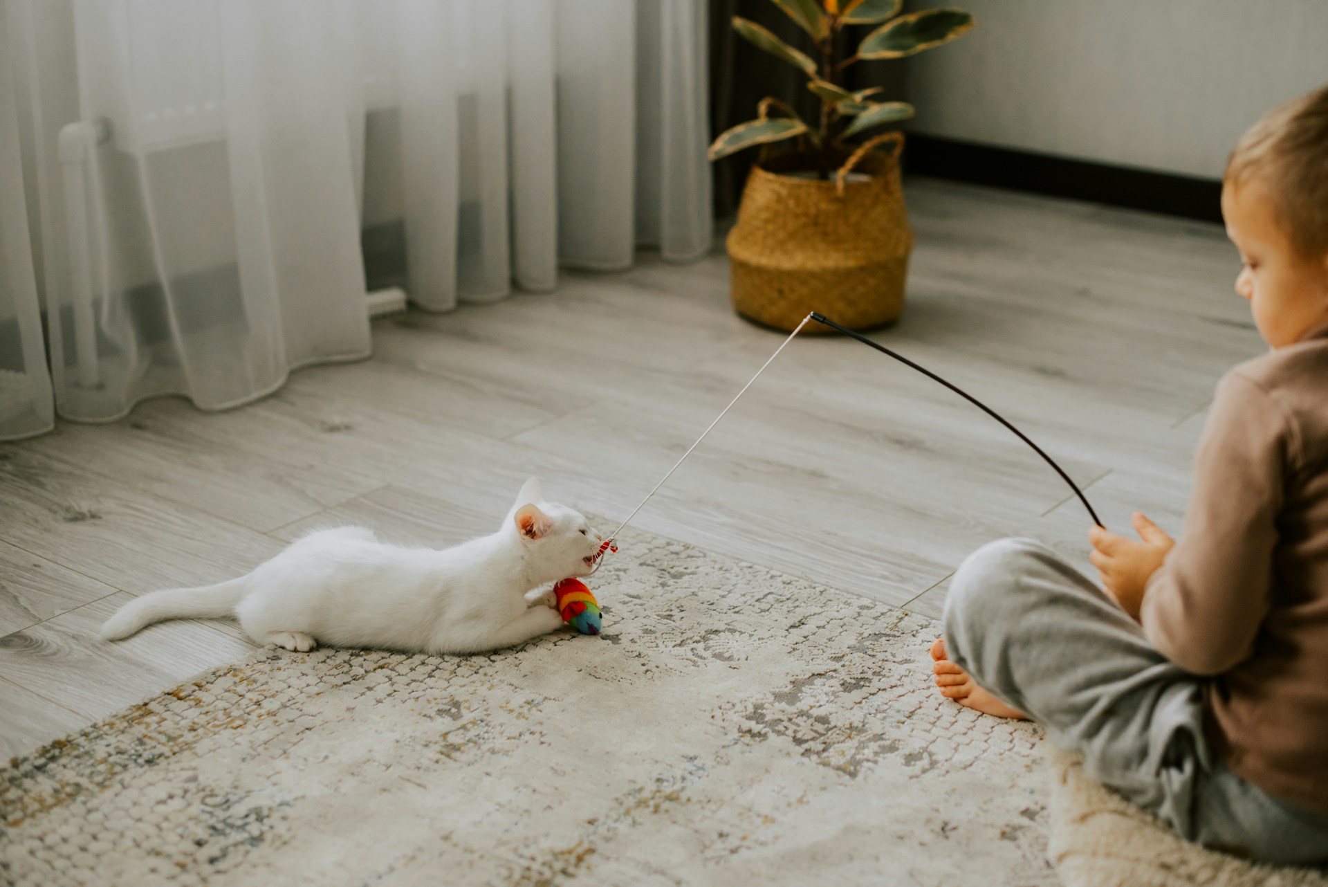 Kid and Pet Friendly Flooring